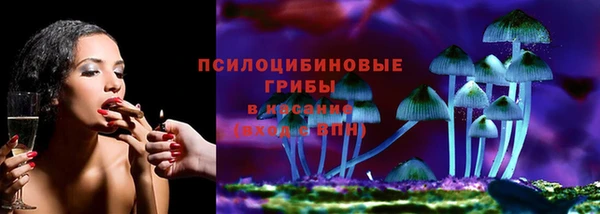 mdpv Надым