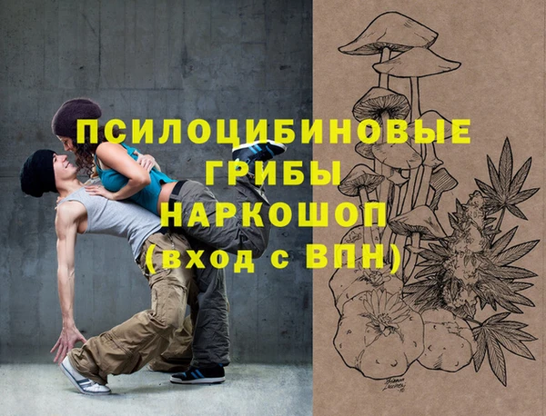 mdpv Надым
