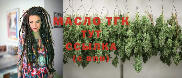 индика Вязники