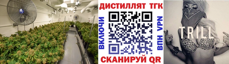ТГК гашишное масло  Орлов 